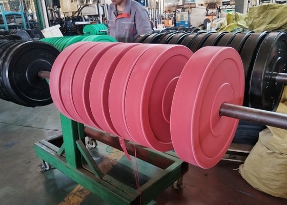 صفحه وزن آهن باربل 5kg-20kg اختیاری برای قدرت و استقامت